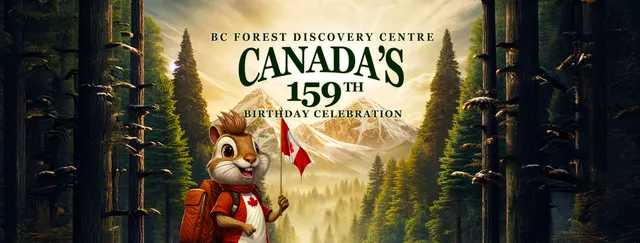 Digital Social Banner